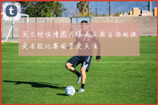 莫兰特伤情图片曝光灰熊后场轮换受考验比赛前景受关注