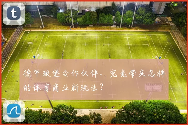 德甲狼堡合作伙伴，究竟带来怎样的体育商业新玩法？