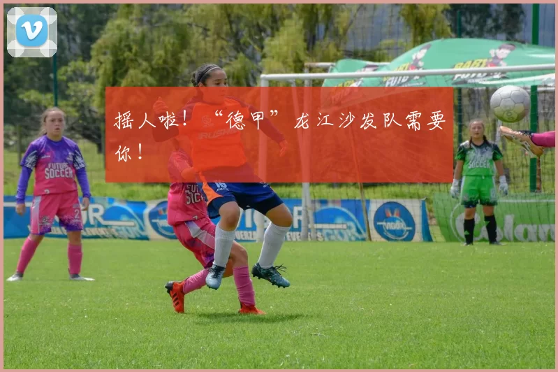 摇人啦！“德甲”龙江沙发队需要你！